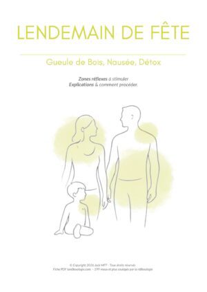 Fiche LENDEMAIN DE FÊTE