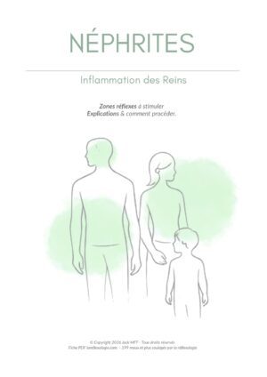 Fiche NÉPHRITES