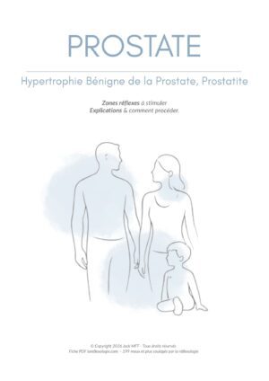 Fiche PROSTATE