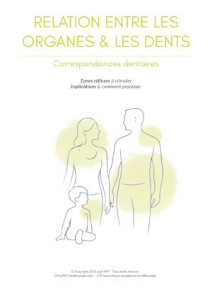 Fiche RELATION ORGANES & DENTS