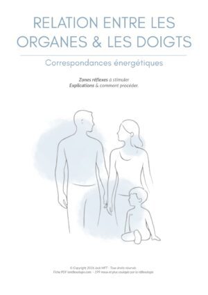 Fiche RELATION ORGANES & DOIGTS