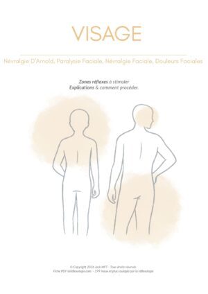 Fiche VISAGE