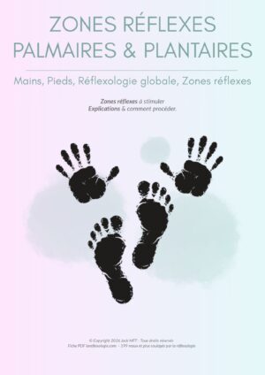 Fiche ZONES RÉFLEXES PALMAIRES & PLANTAIRES
