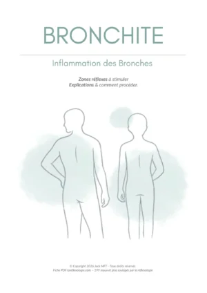 Fiche BRONCHITE