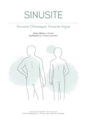 Fiche SINUSITE